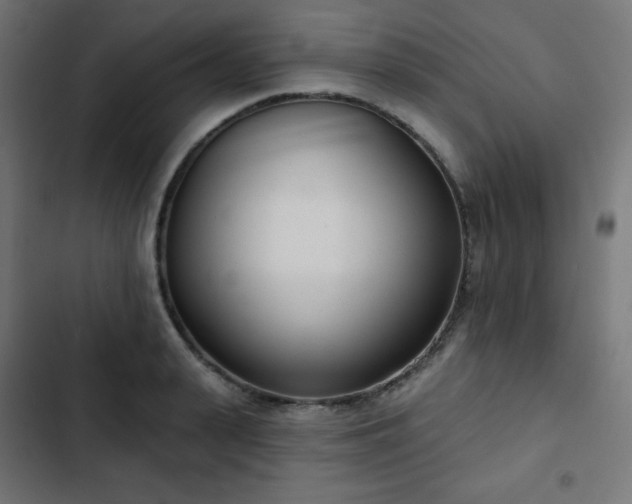 X0000103260943200809051440