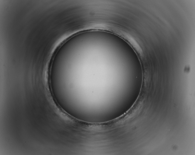 X0000103260944200809051440