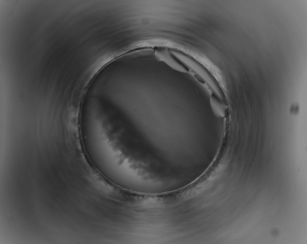 X0000103260945200809051440