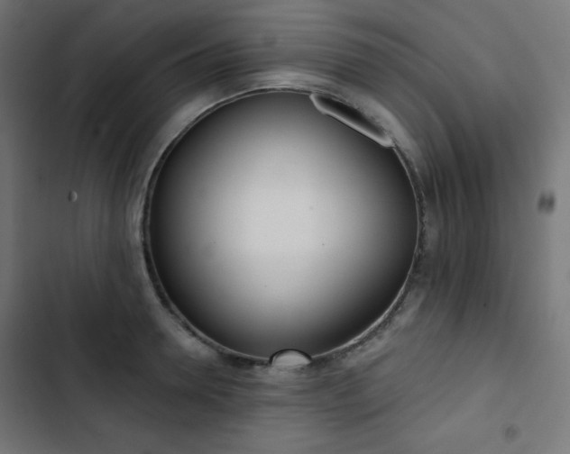 X0000103260946200809051440