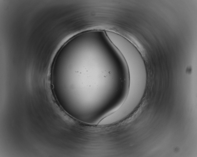 X0000103260948200809051440