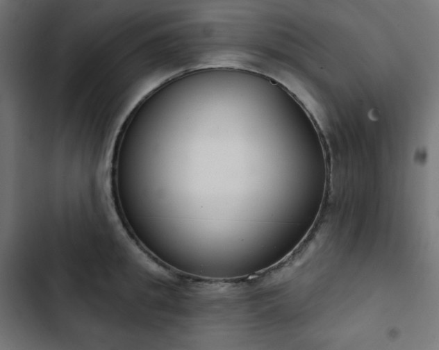 X0000103260949200809051440