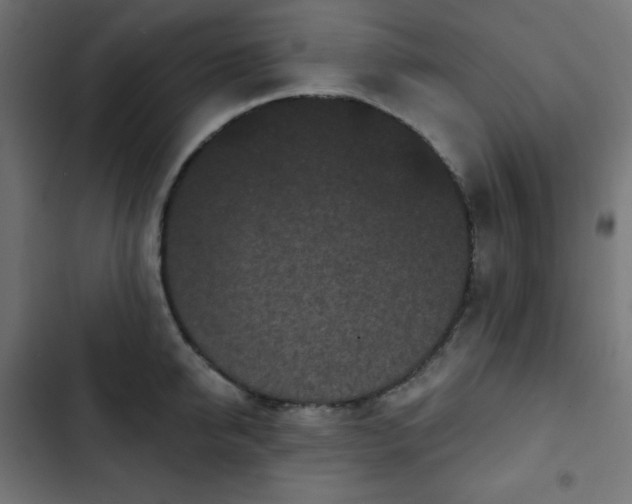 X0000103260950200809051440