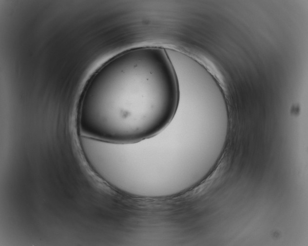 X0000103260952200809051440