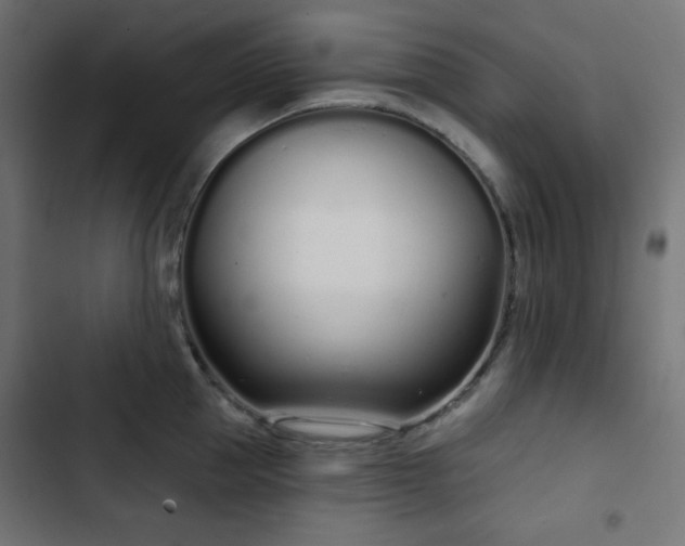 X0000103260953200809051440