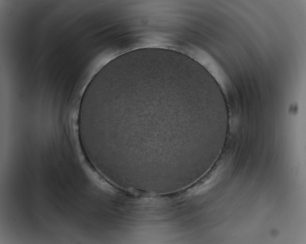 X0000103260954200809051440