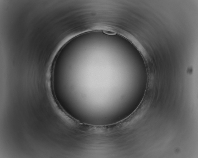 X0000103260955200809051440