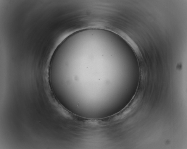 X0000103260956200809051440