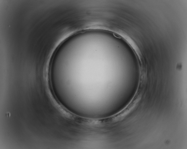 X0000103260957200809051440