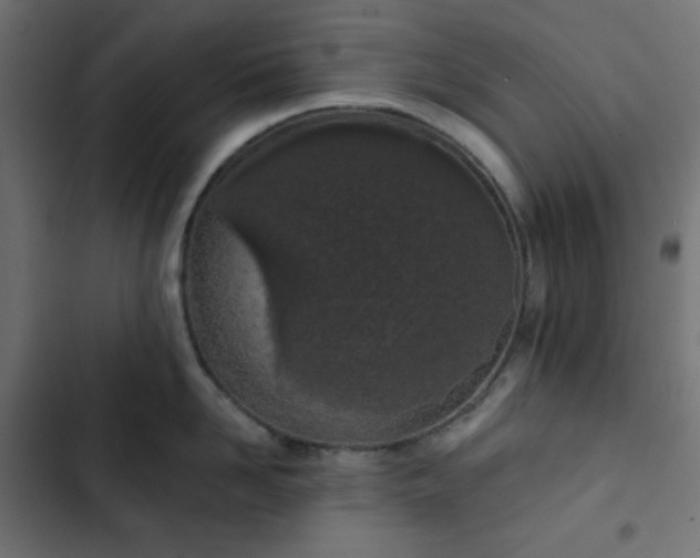 X0000103260958200809051440