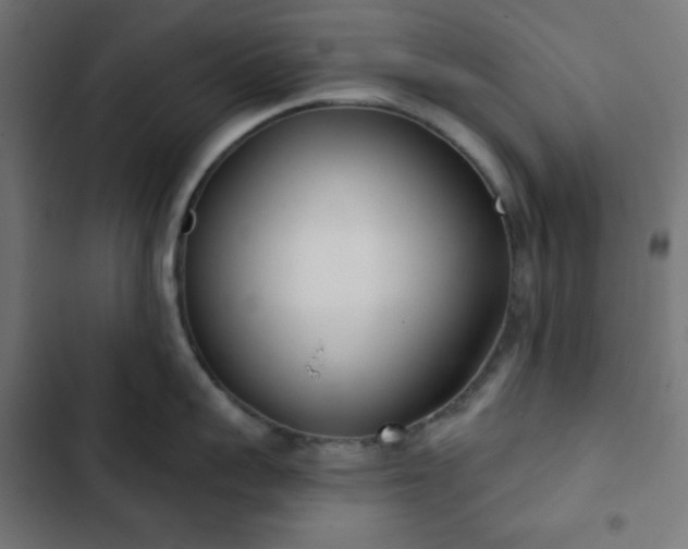 X0000103260959200809051440