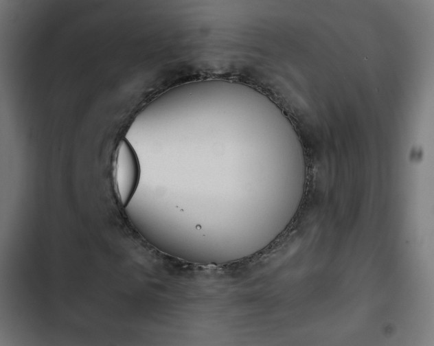 X0000103260961200809051439