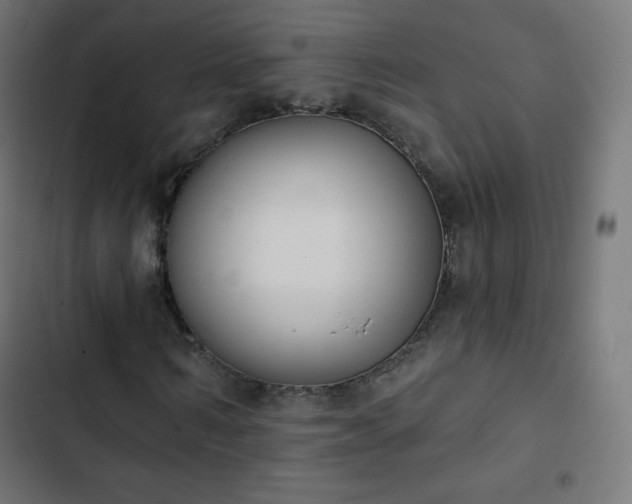 X0000103260962200809051439