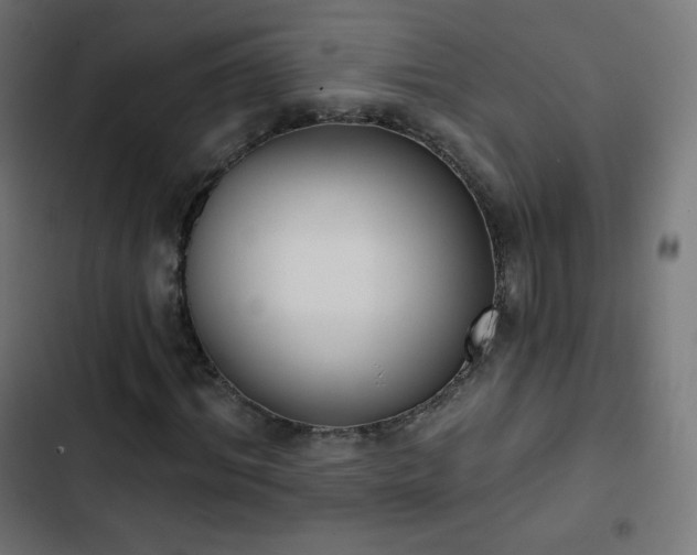 X0000103260964200809051439