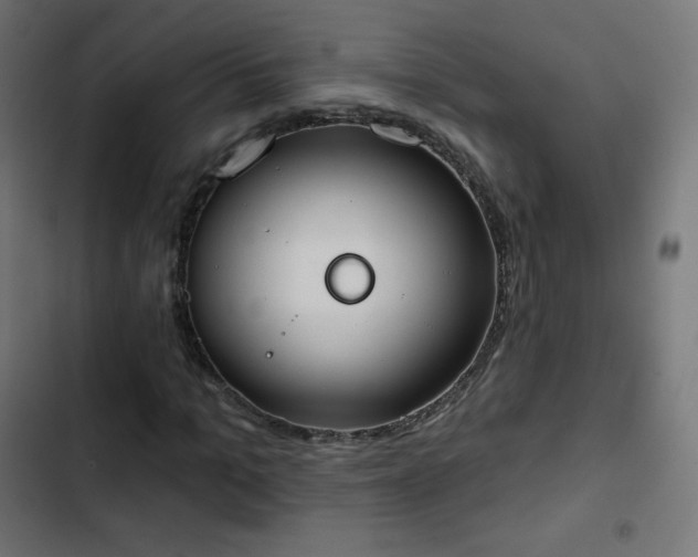 X0000103260965200809051439