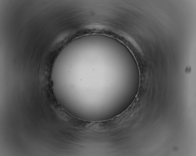 X0000103260967200809051439