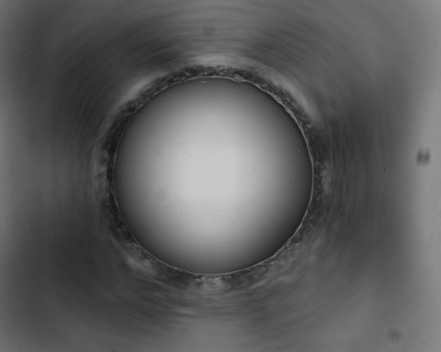 X0000103260968200809051439