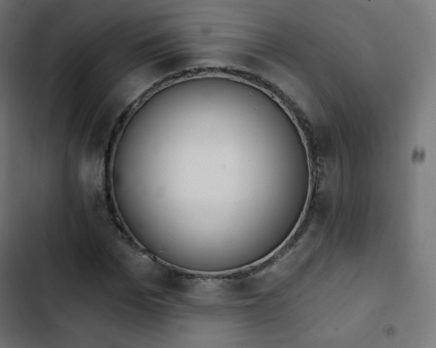 X0000103260969200809051439