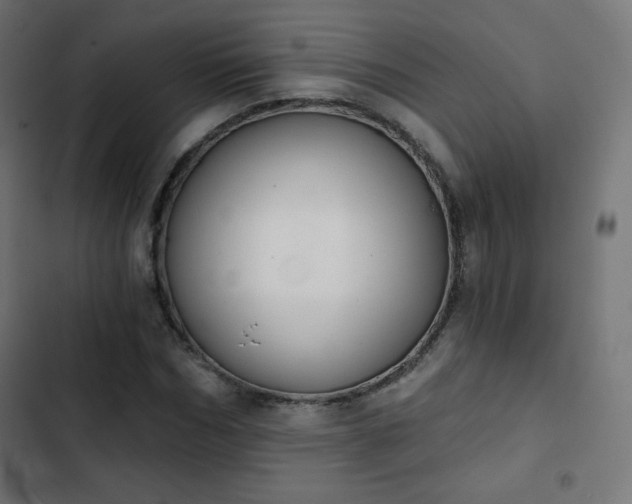 X0000103260970200809051439