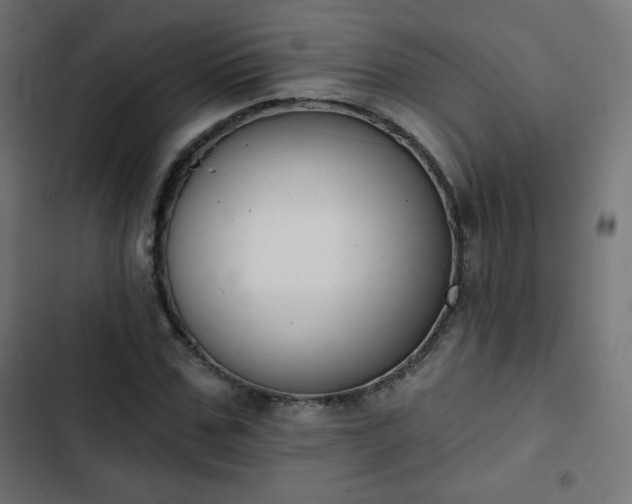 X0000103260971200809051439