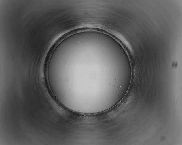 X0000103260972200809051439