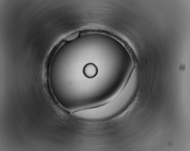 X0000103260973200809051439