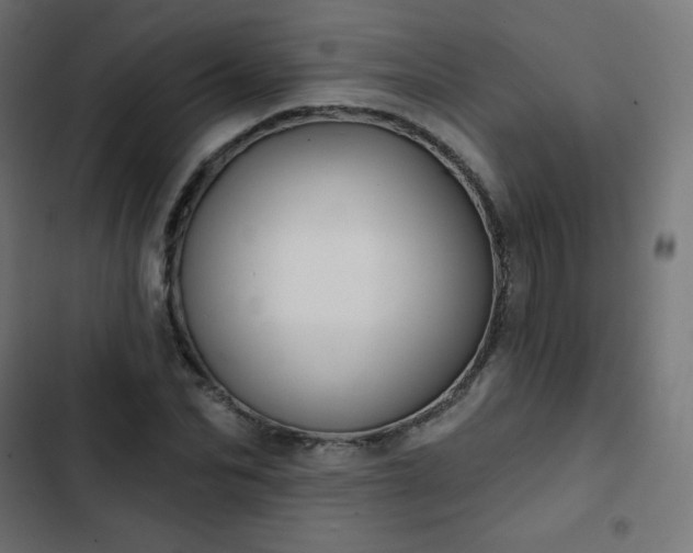 X0000103260974200809051439