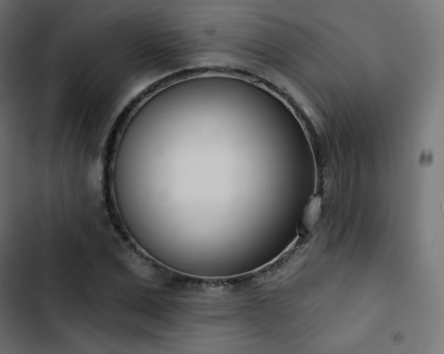 X0000103260975200809051439