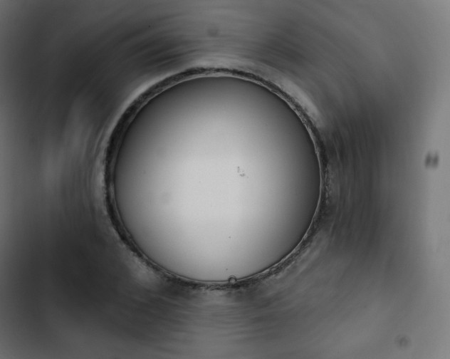 X0000103260976200809051439