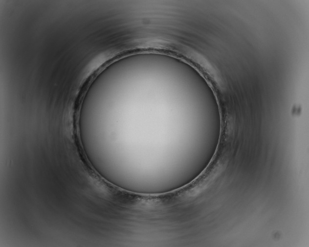 X0000103260978200809051439