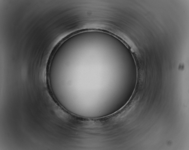 X0000103260980200809051439