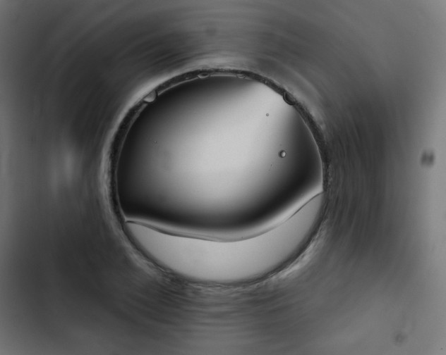 X0000103260981200809051439