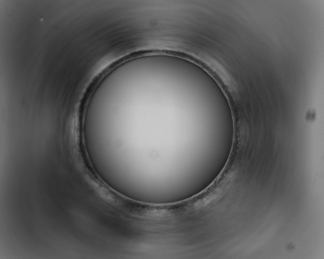 X0000103260982200809051439