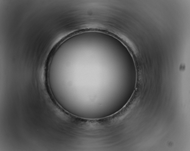 X0000103260983200809051439