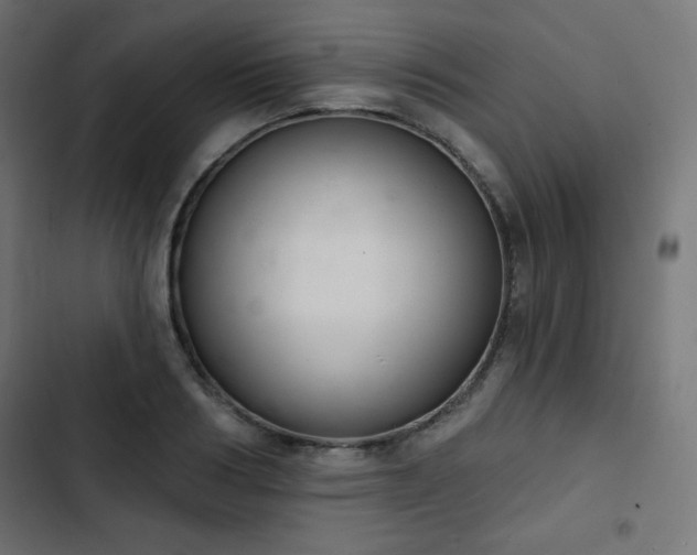 X0000103260986200809051439