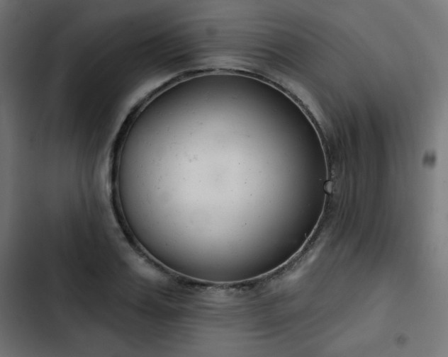 X0000103260987200809051439