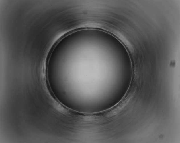 X0000103260988200809051439