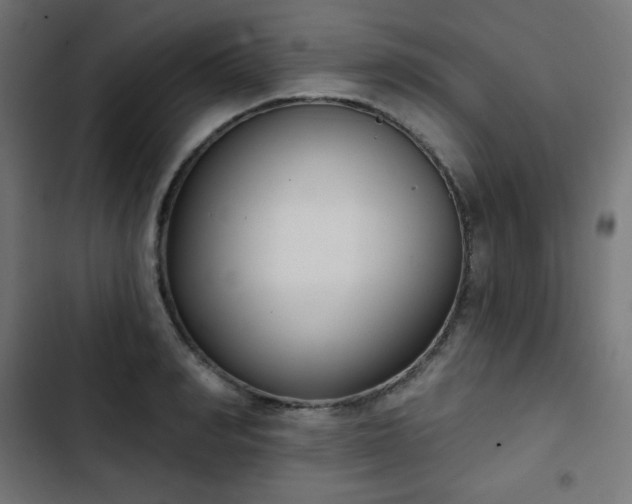 X0000103260990200809051439