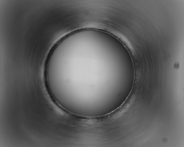 X0000103260991200809051439