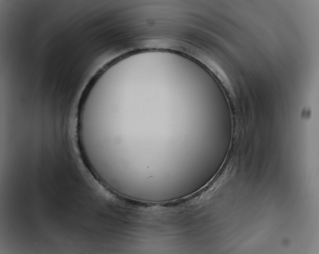 X0000103260992200809051439