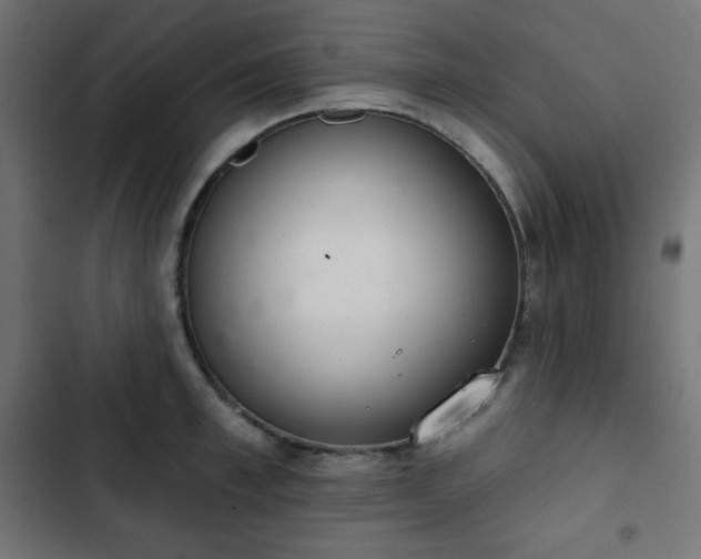 X0000103260997200809051439