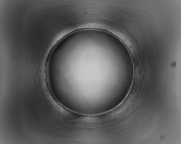 X0000103260998200809051439