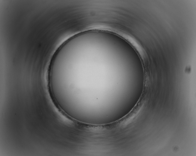 X0000103260999200809051439