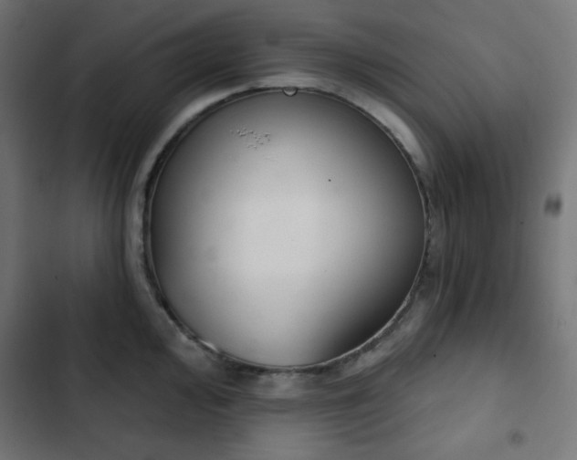 X0000103261000200809051439