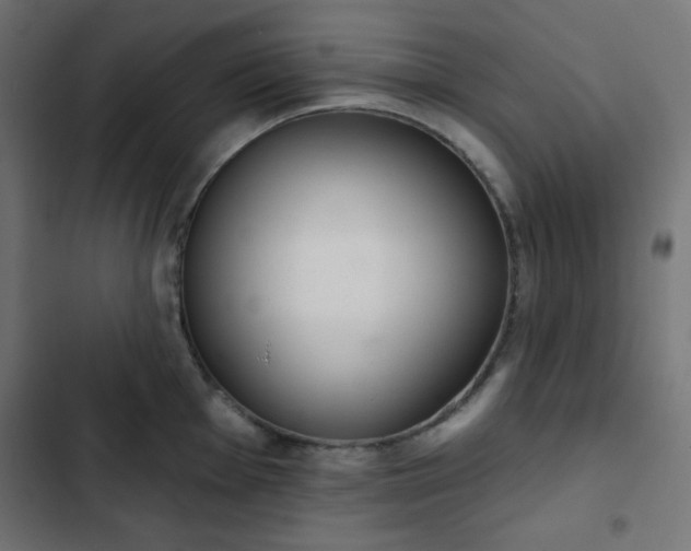 X0000103261001200809051439