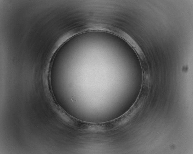 X0000103261002200809051439