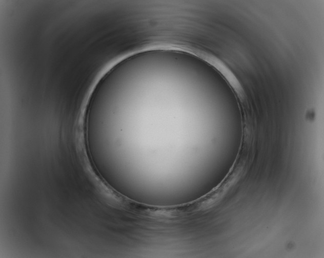 X0000103261004200809051439