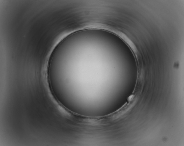 X0000103261005200809051439