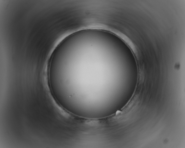 X0000103261006200809051439