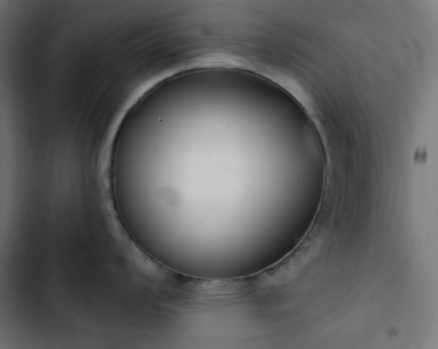 X0000103261008200809051439